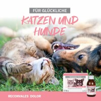 ReConvales Dolor für Hunde & Katzen