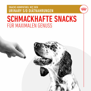 Royal Canin Urinary S/O Snacks für Hunde