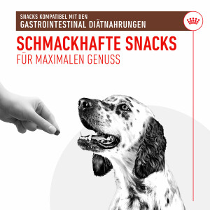 Royal Canin Gastrointestinal Snacks für Hunde