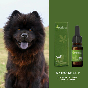 AnimalHemp CBD-Pflegeöl für Hunde & Katzen