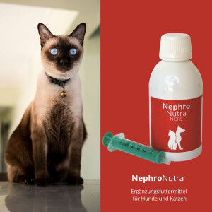 reboVet NephroNutra für Hunde & Katzen