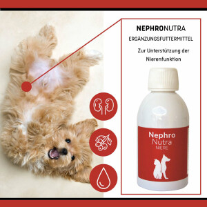 reboVet NephroNutra für Hunde & Katzen