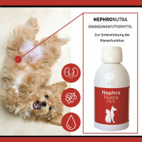 reboVet NephroNutra für Hunde & Katzen